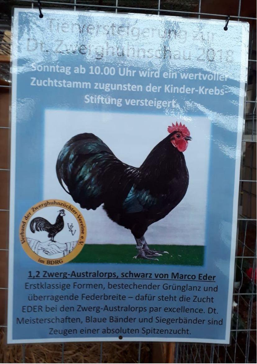 Hannover Verst 01
