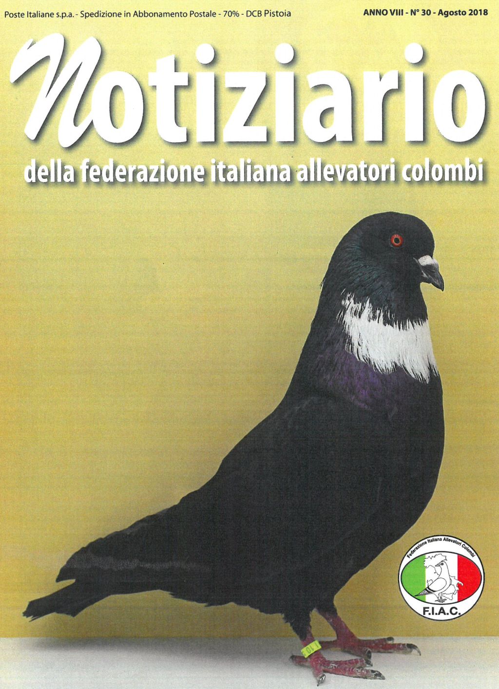 Notiziario gross