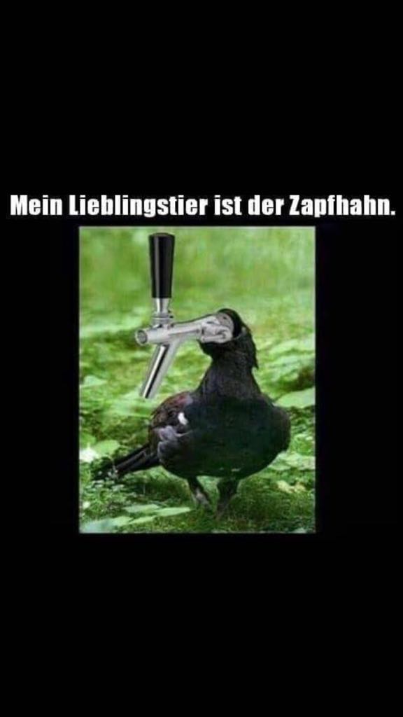 Zapfhahn