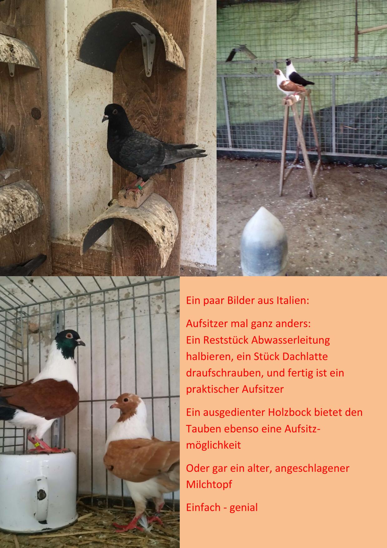 Aufsitzer Italien