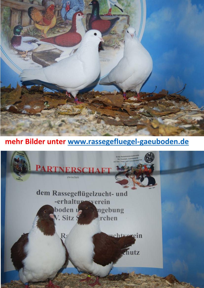 BezSchau Eindrücke 03