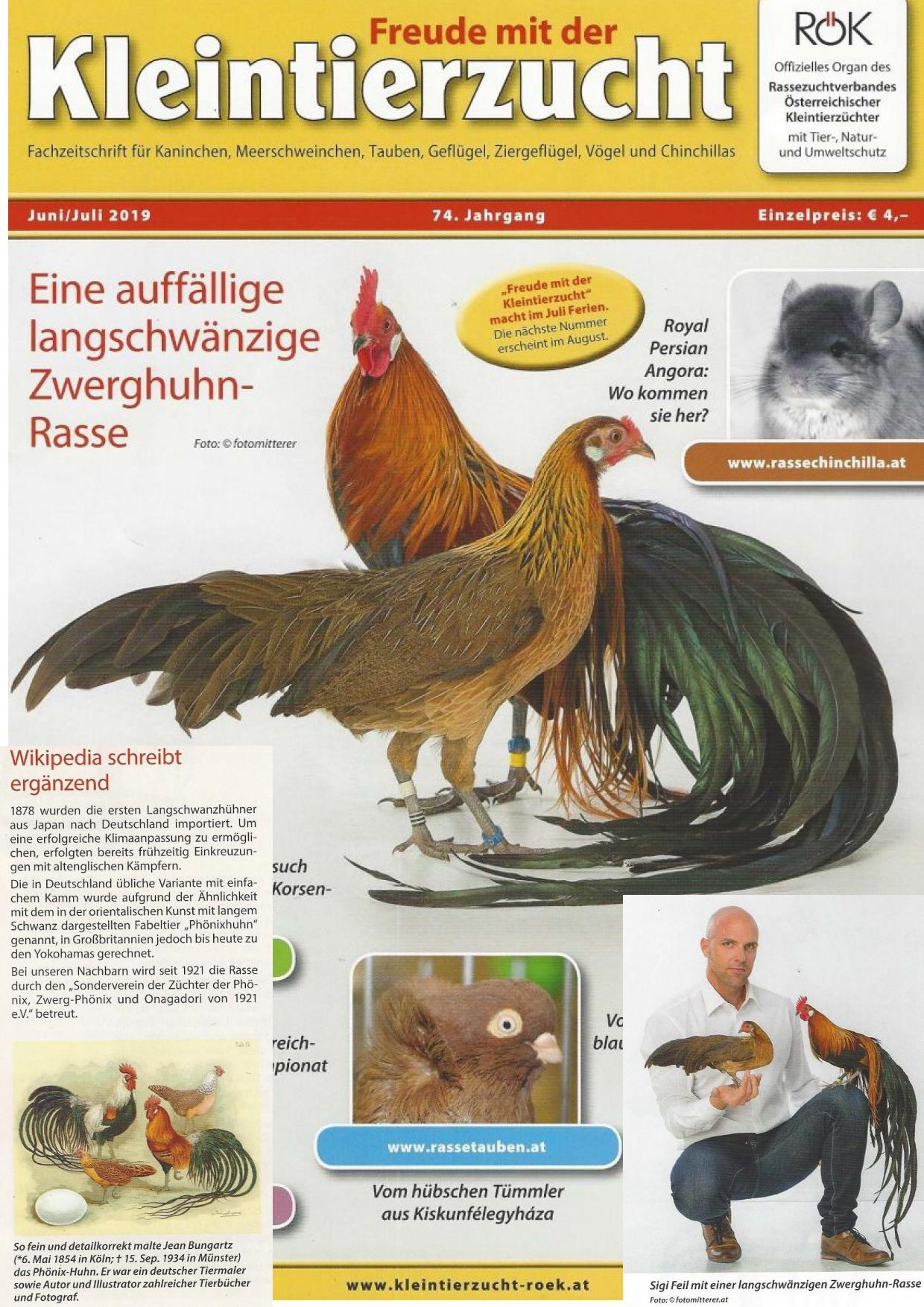 Feil 01