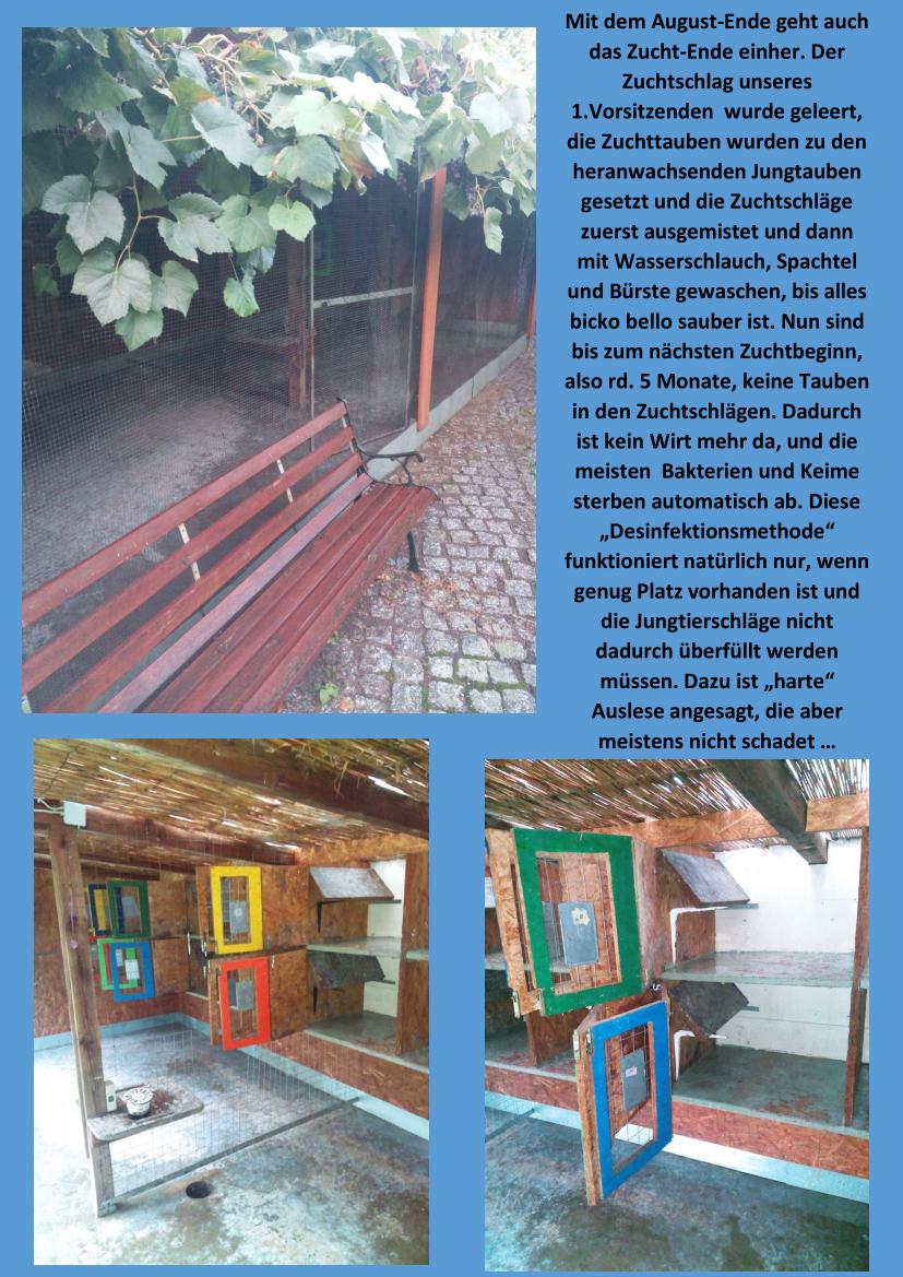 Hiergeist Zuchtende 01