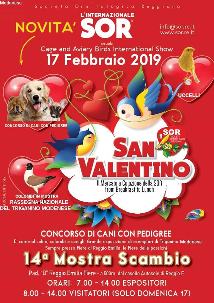 Italienshow