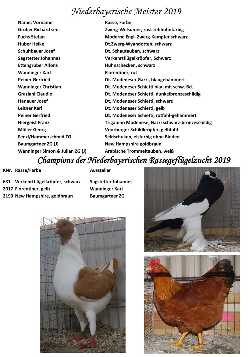 Niederbay Meister neu 01