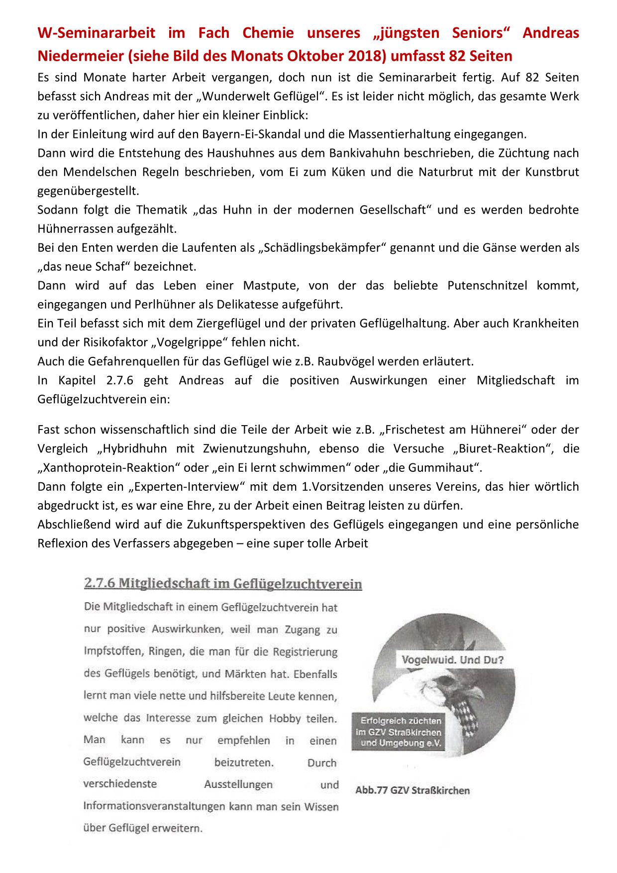 Niedermeier 01