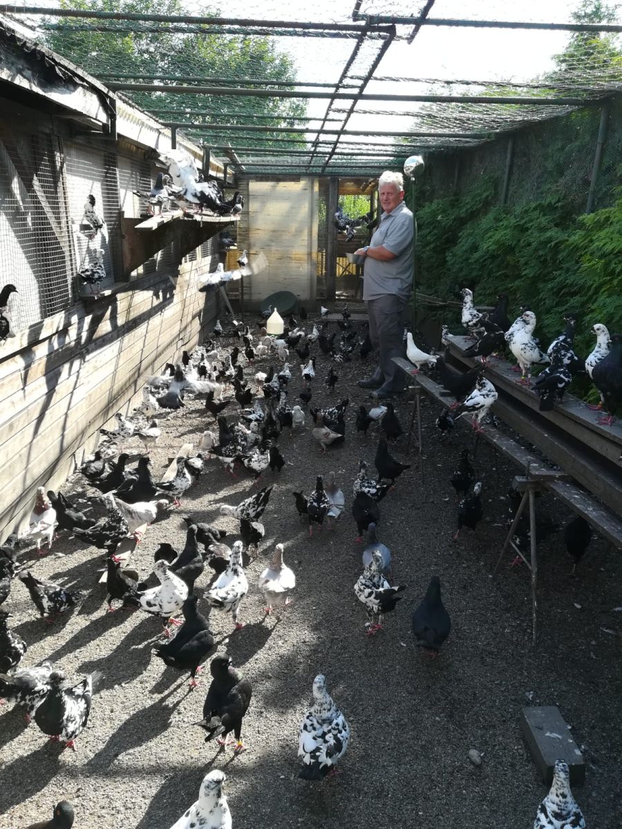 Rotte3