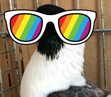 Sonnenbrille