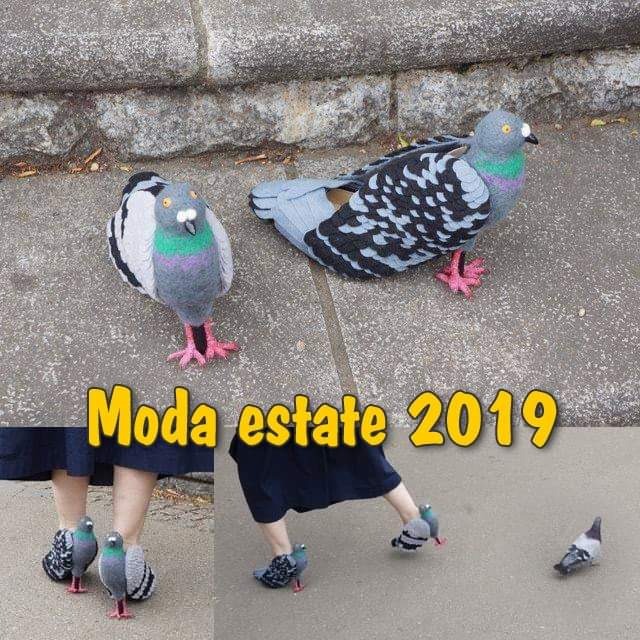 Taubenschuhe
