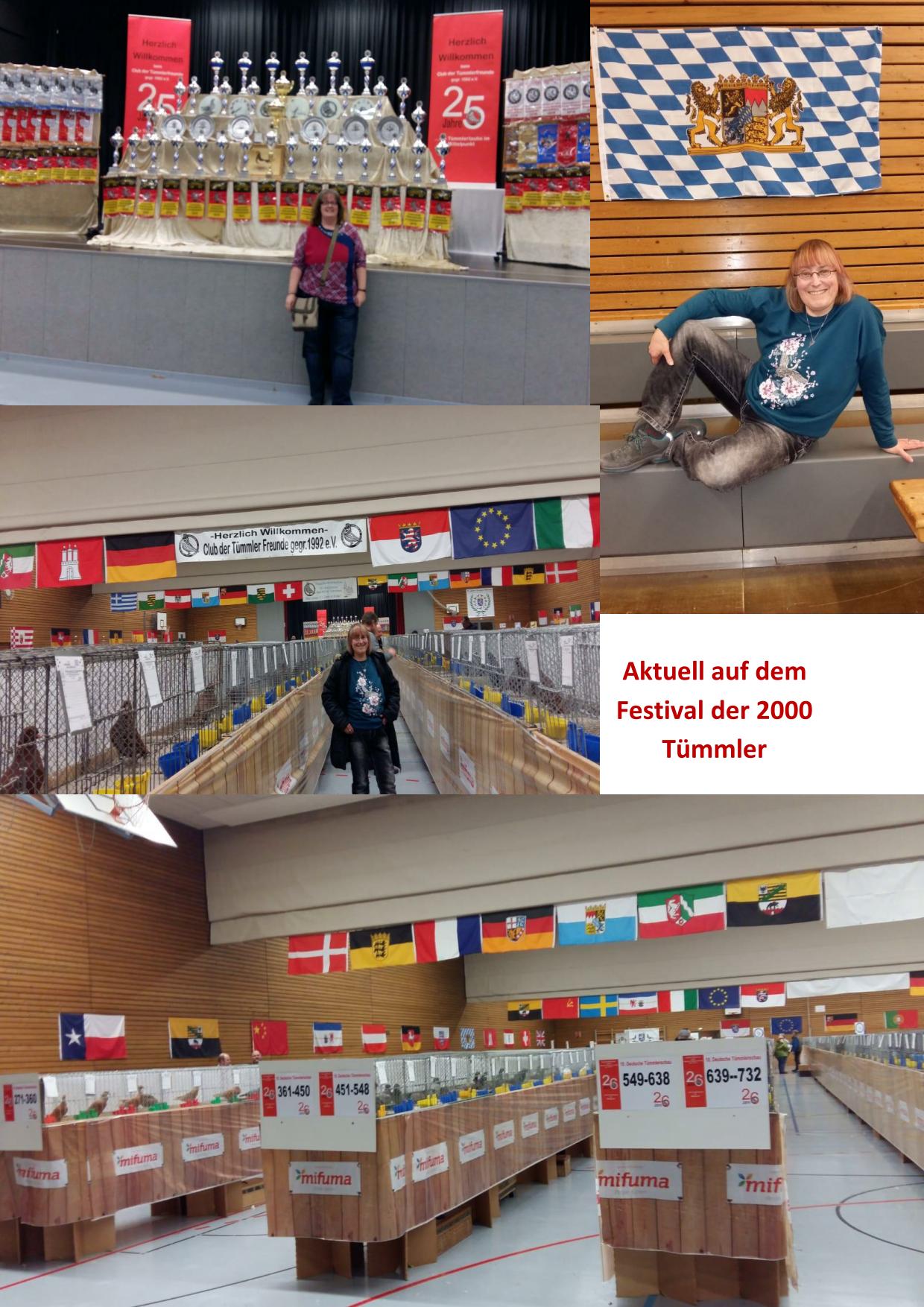 Tümmler 01