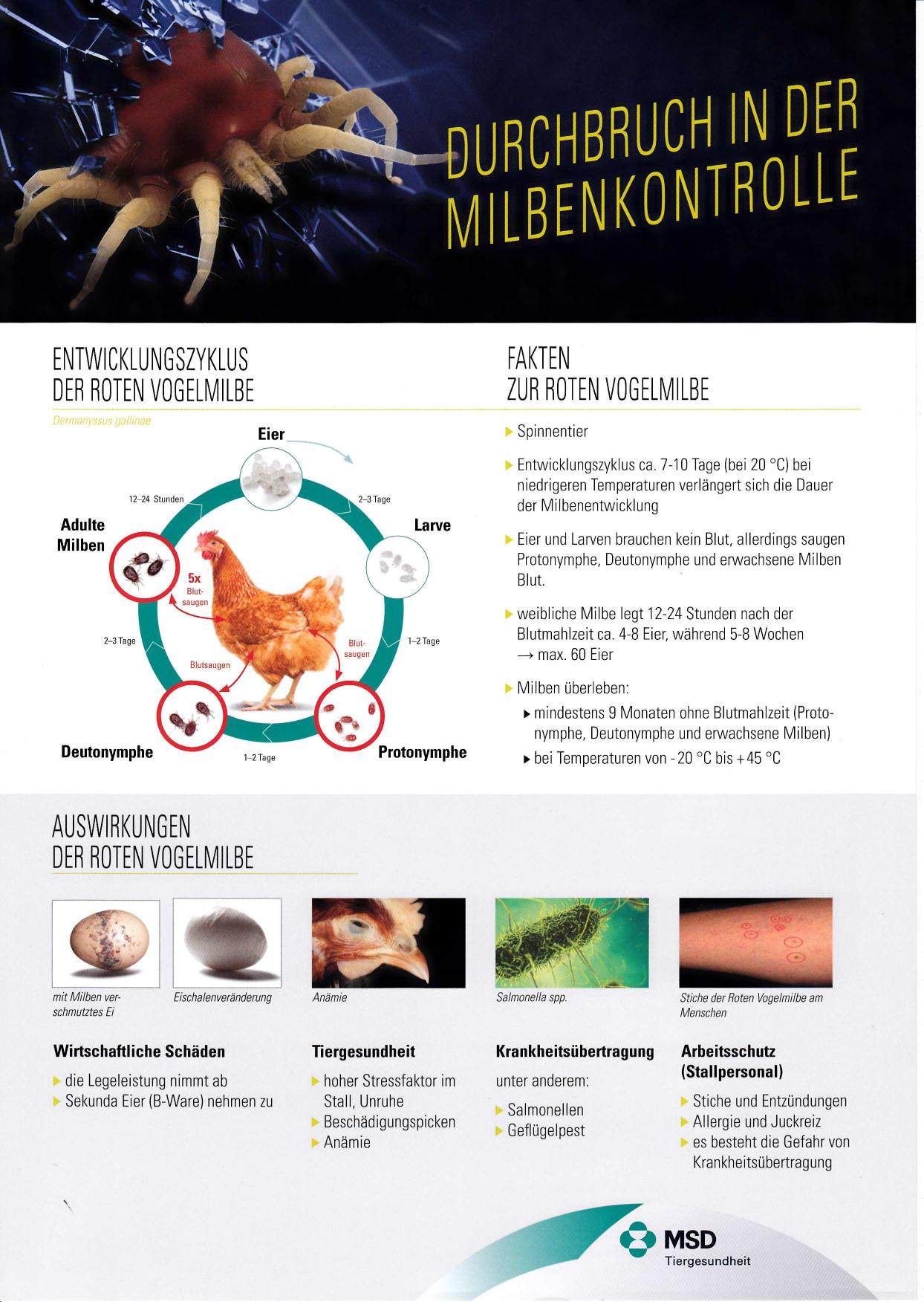 Vogelmilbe 05
