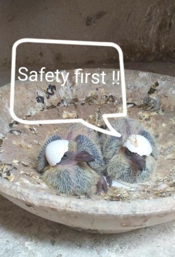 safety