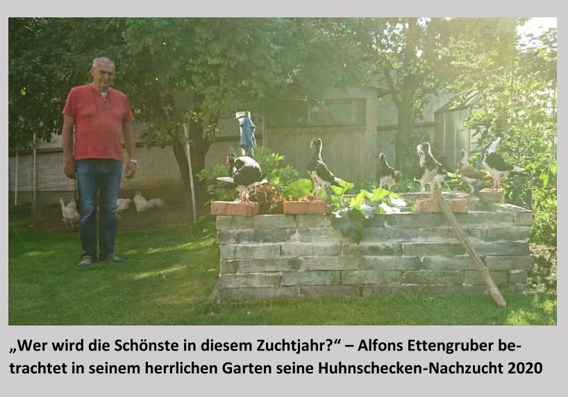 Ettengruber Juli 01