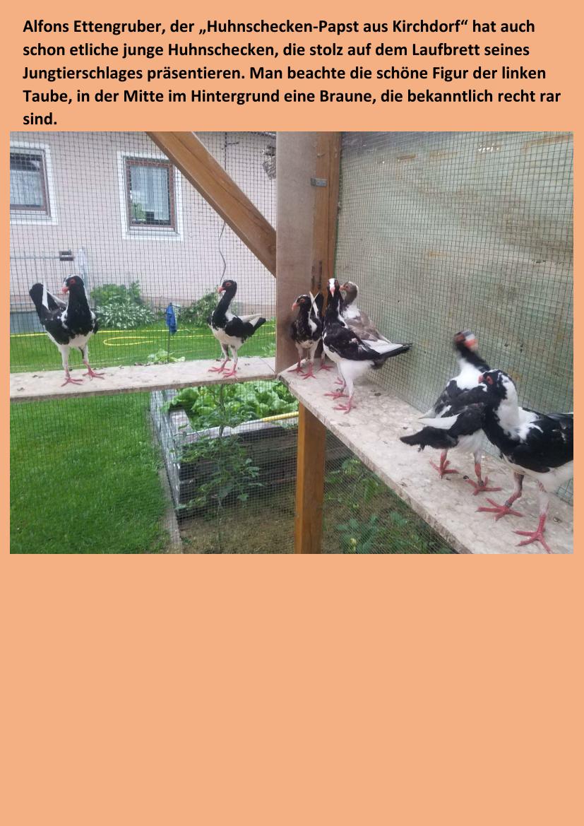 Ettengruber Juni 01
