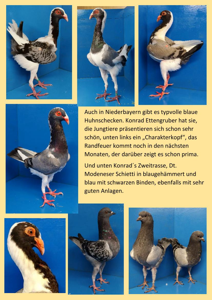 Ettengruber Kon 01
