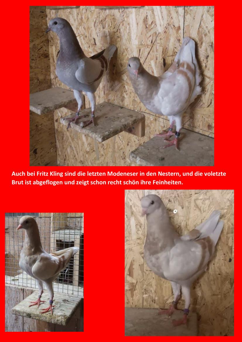 Kling Juli 01