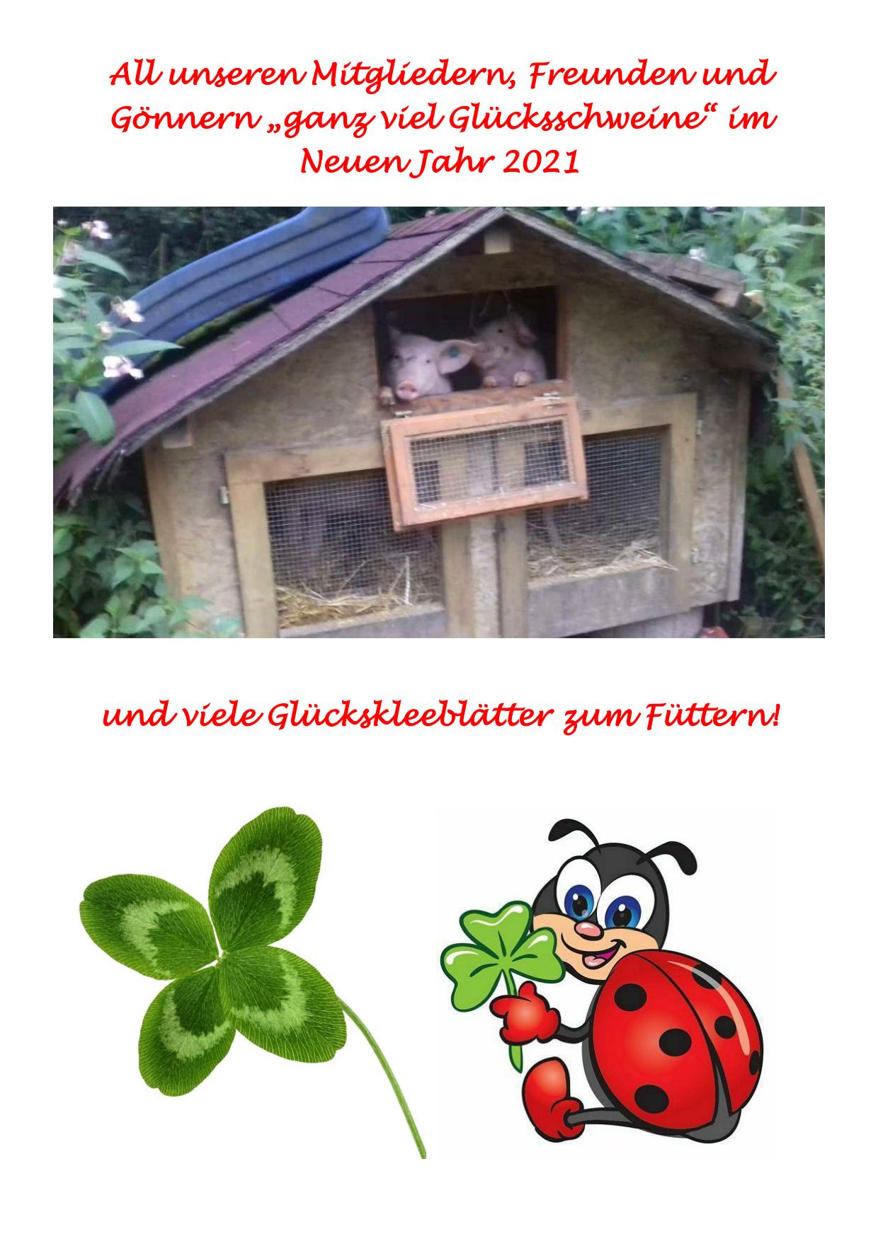 Neujahrsgruß 01