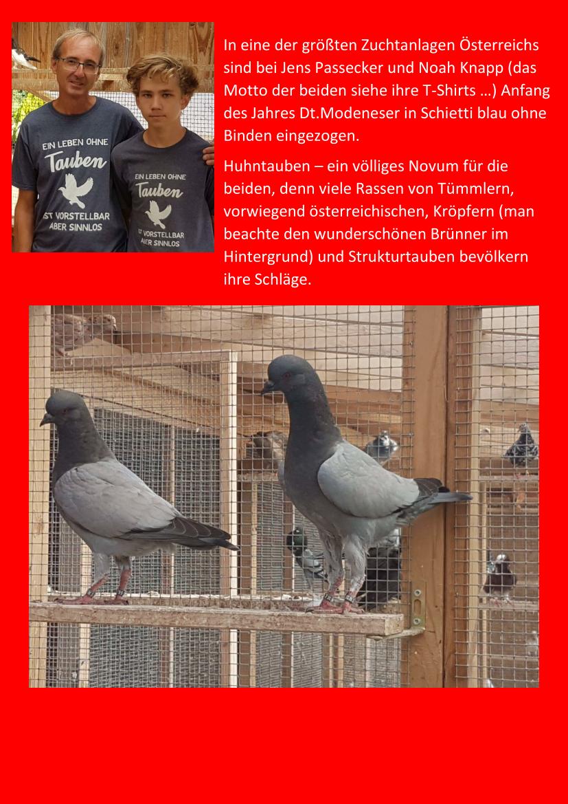 Passecker Juni 01