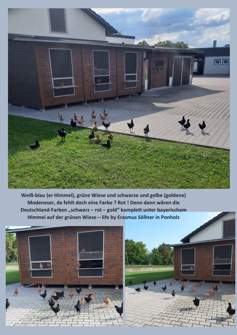 Söllner Juni 01