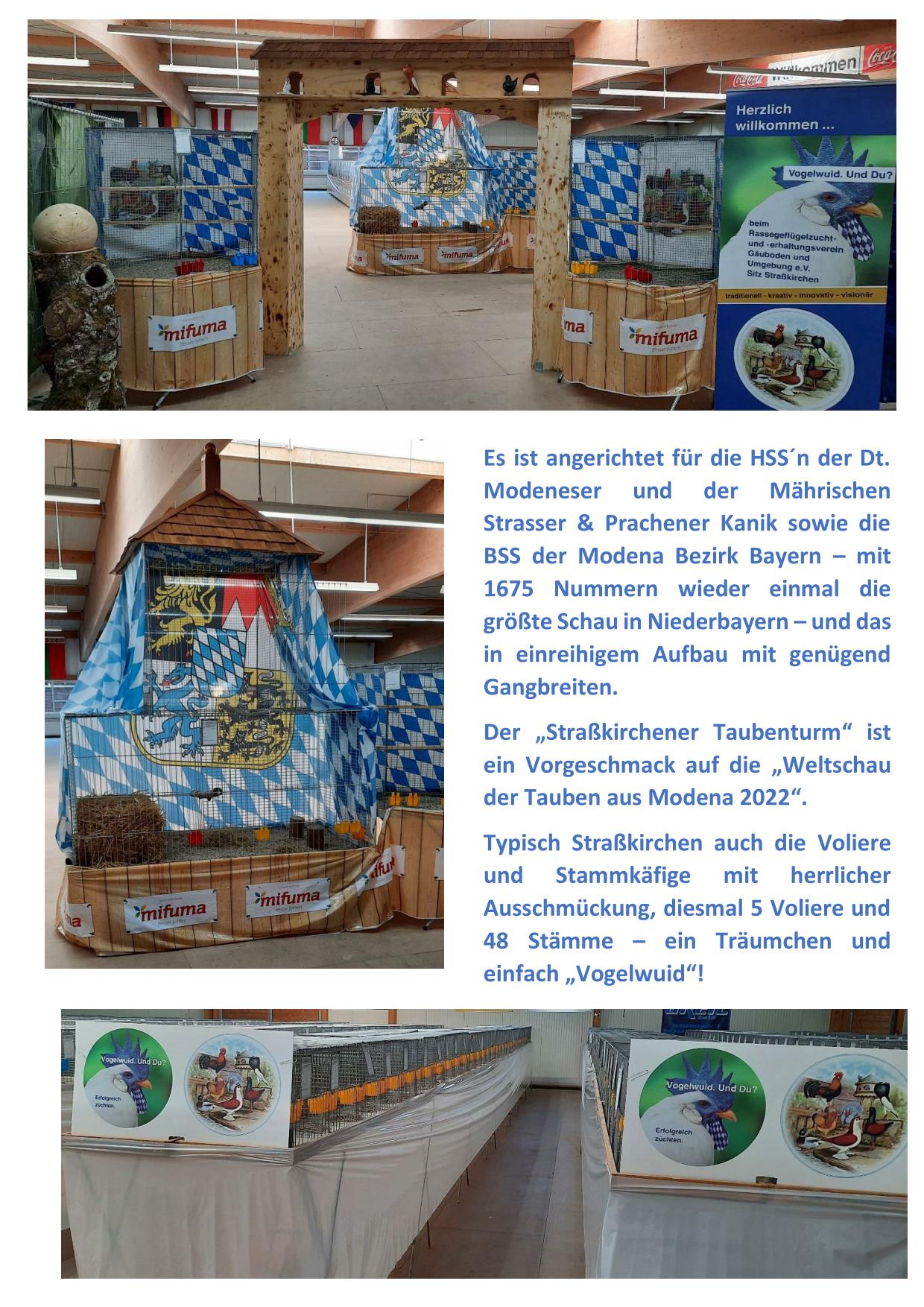 10 Mod Aufbau 01