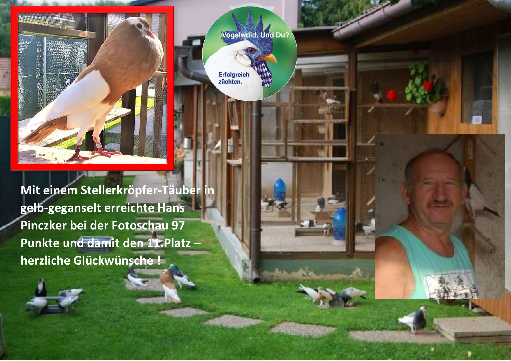 Pinczker