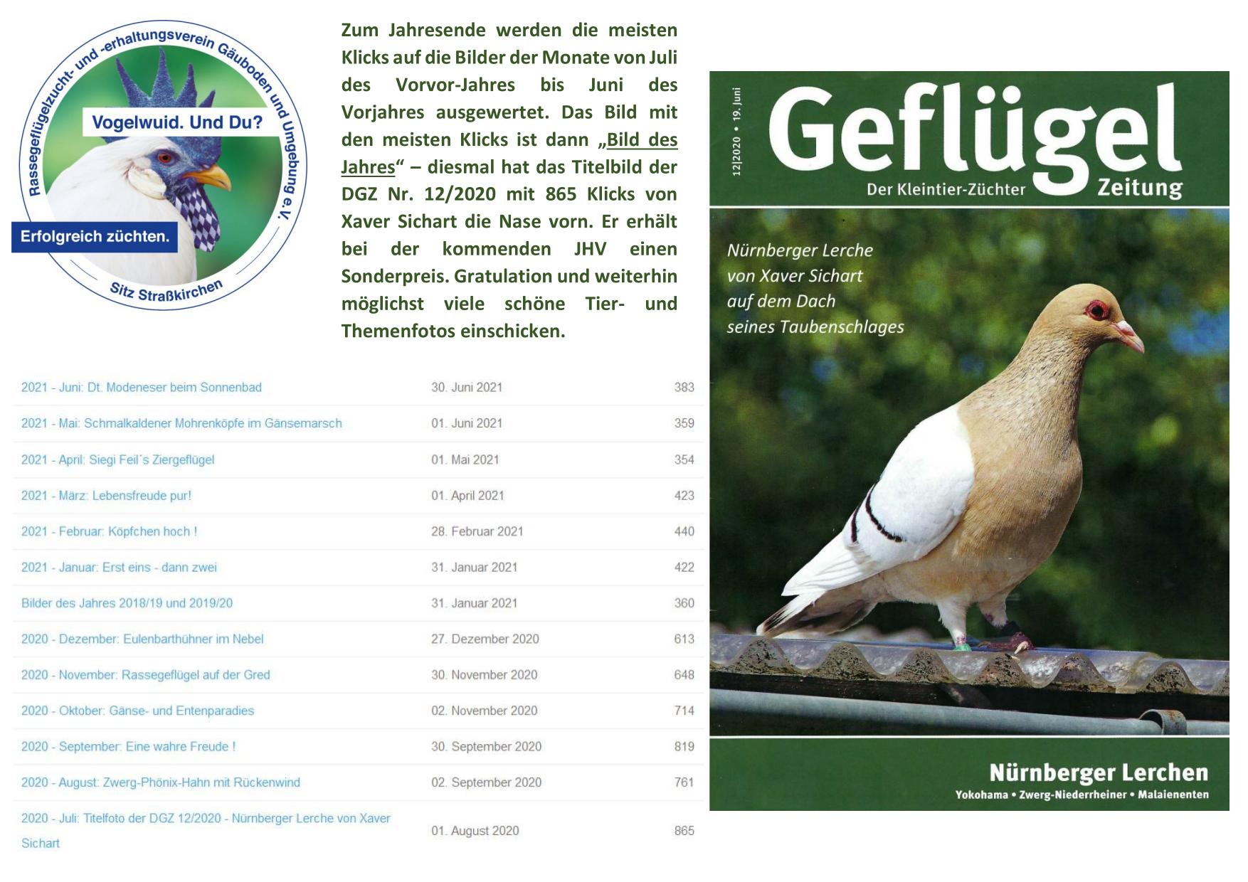 03 Bild des Jahres 01