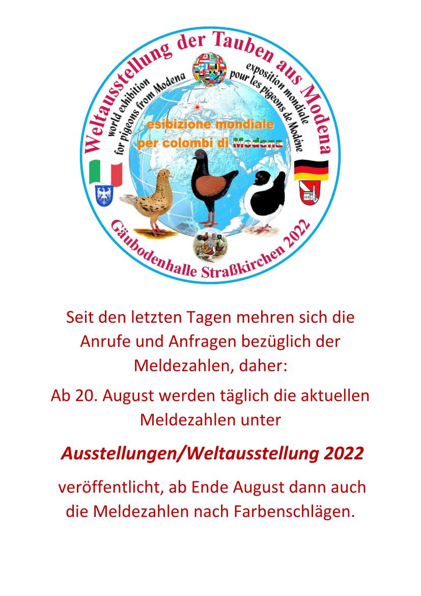 08 Meldezahlen 01