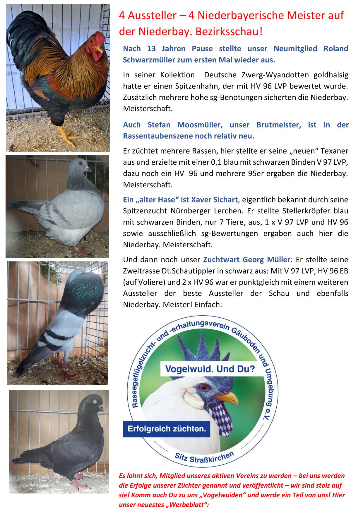 10 Niederbay Meister 01