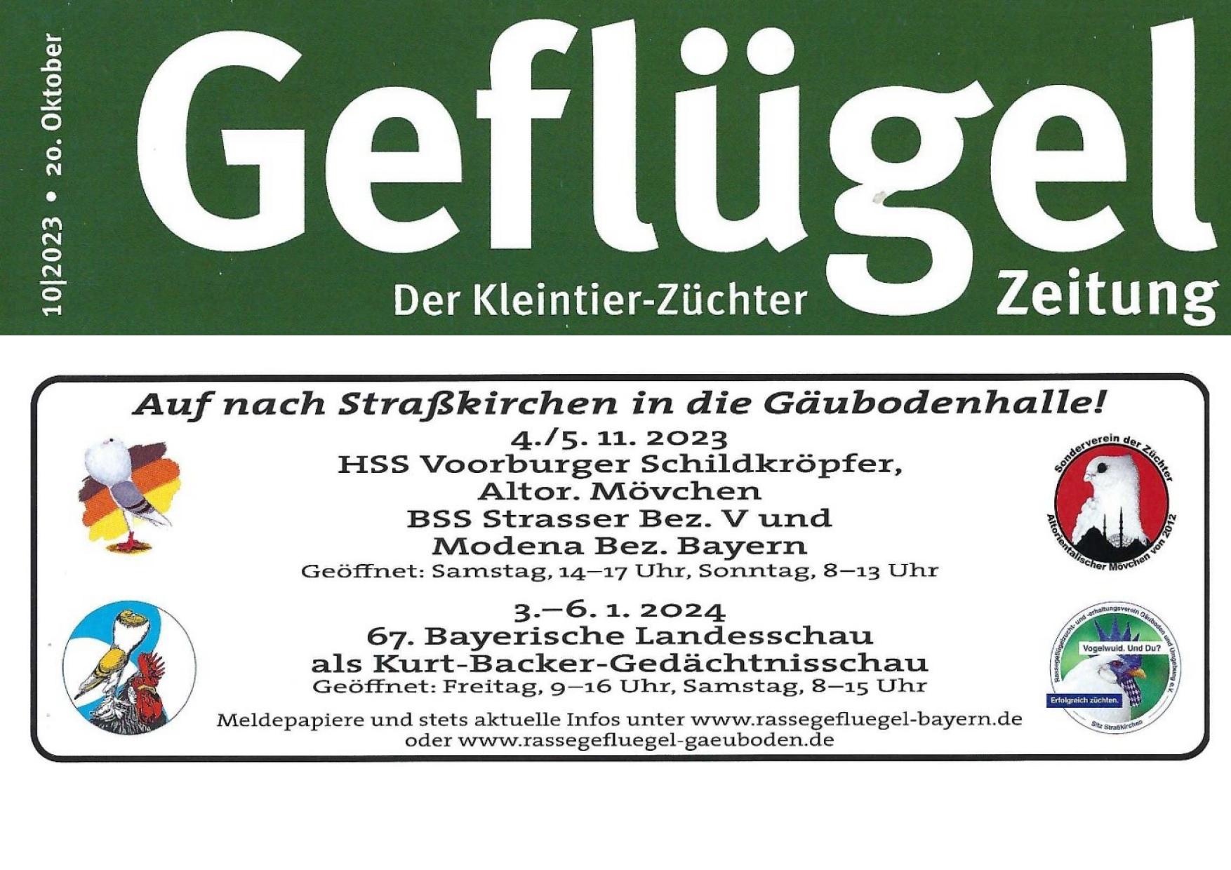 10 Schauanzeige GZ 01
