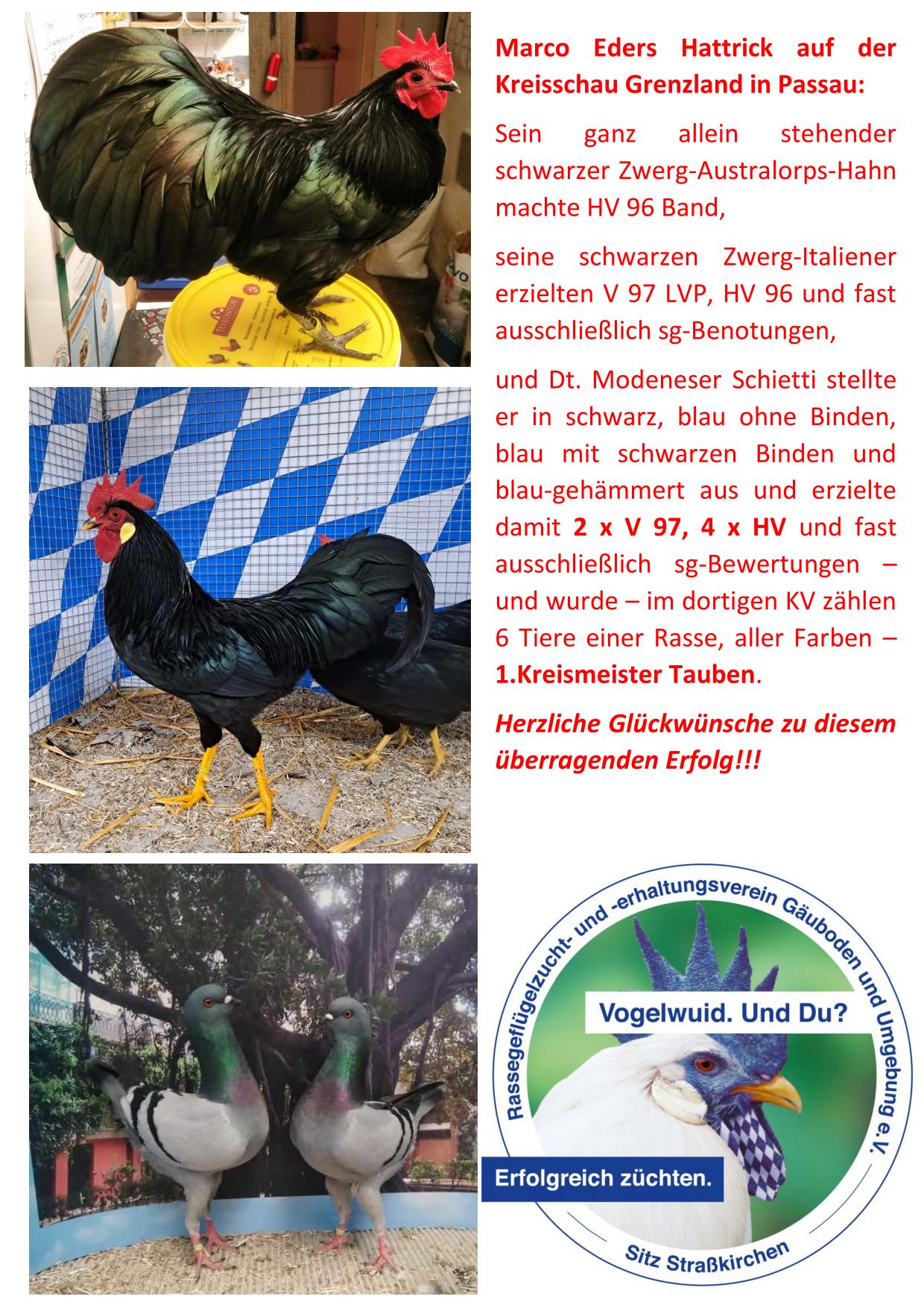 11 Eder Passau 01
