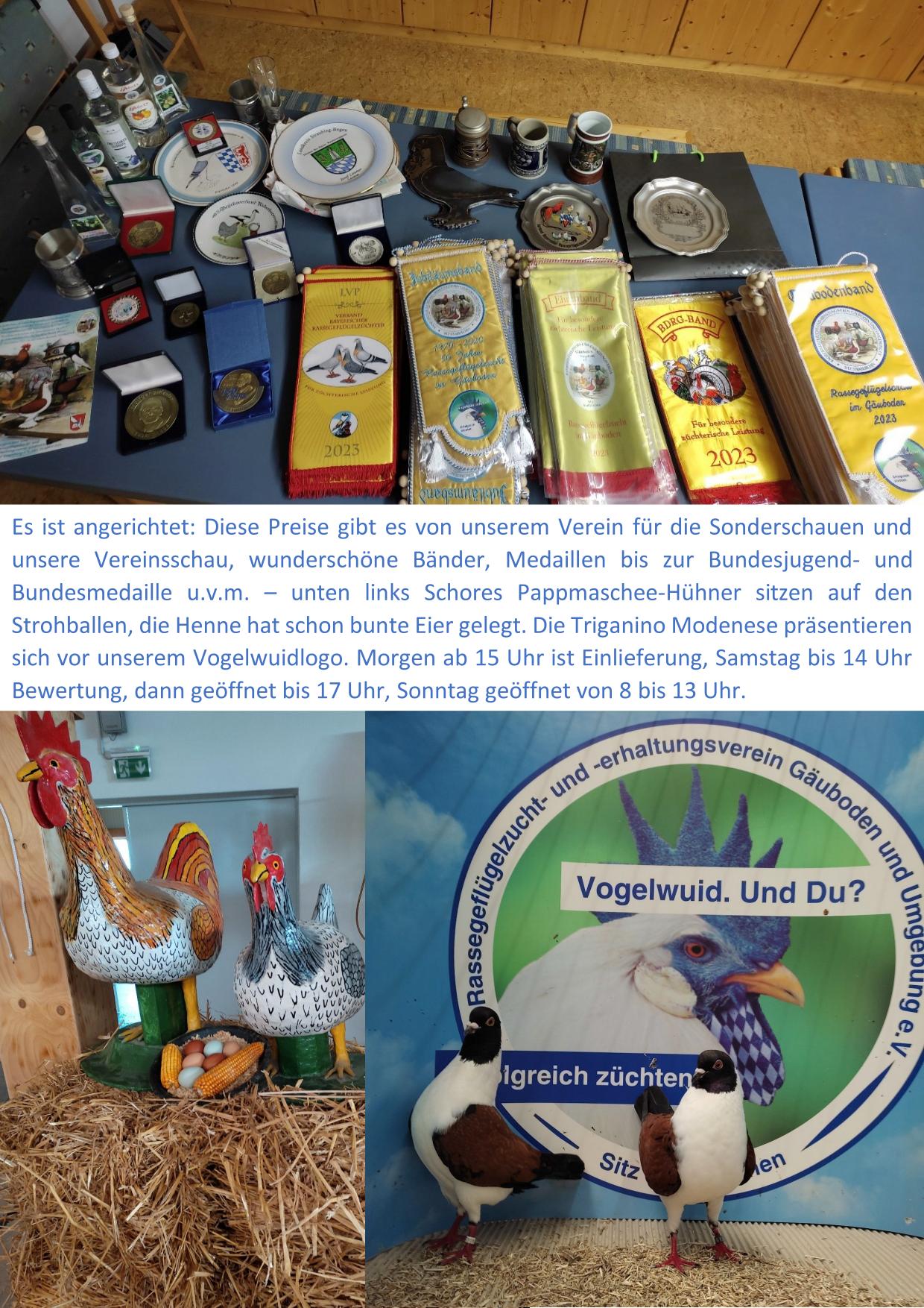 11 Preise Vereinsschau 01