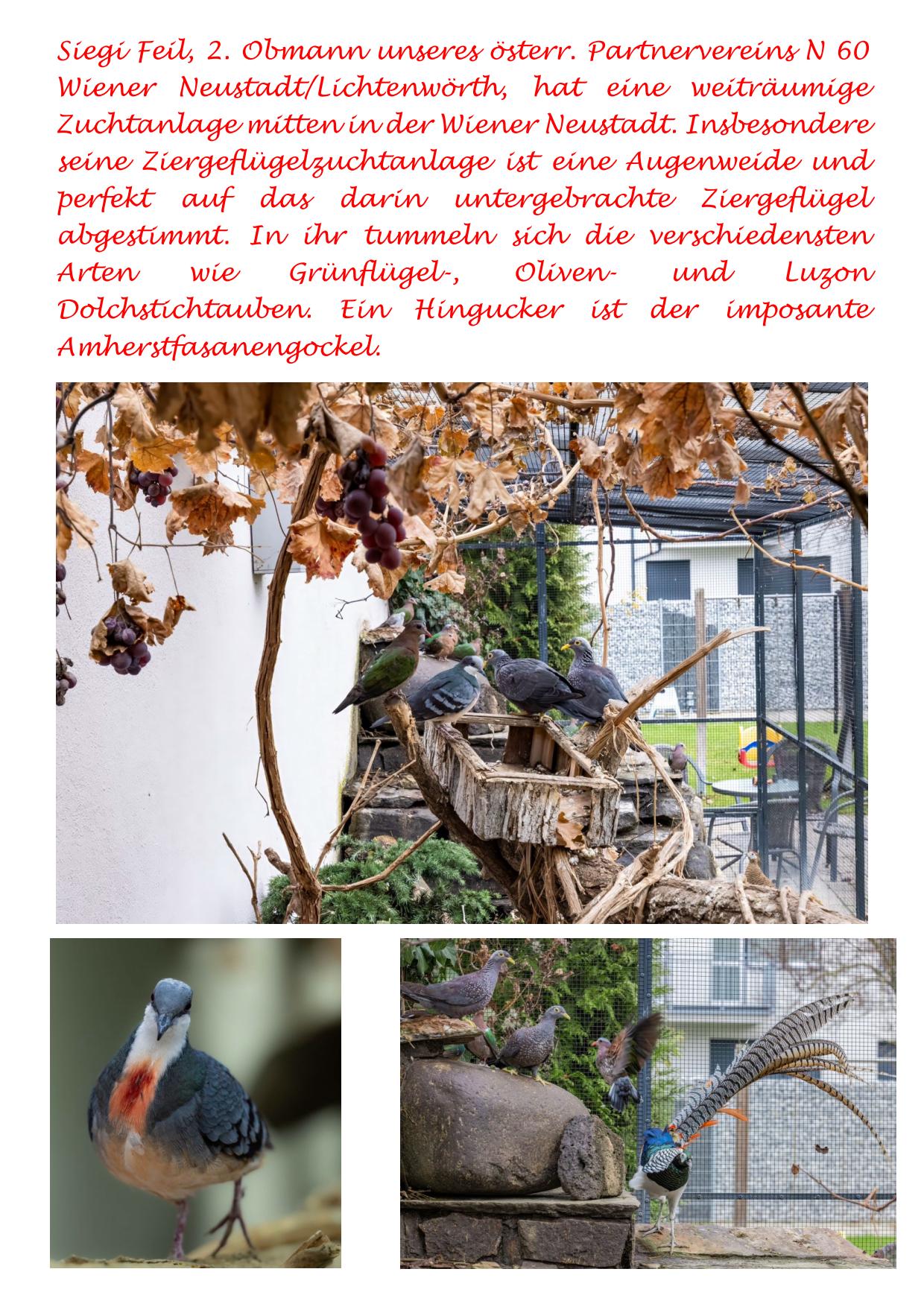 12 Feil 01