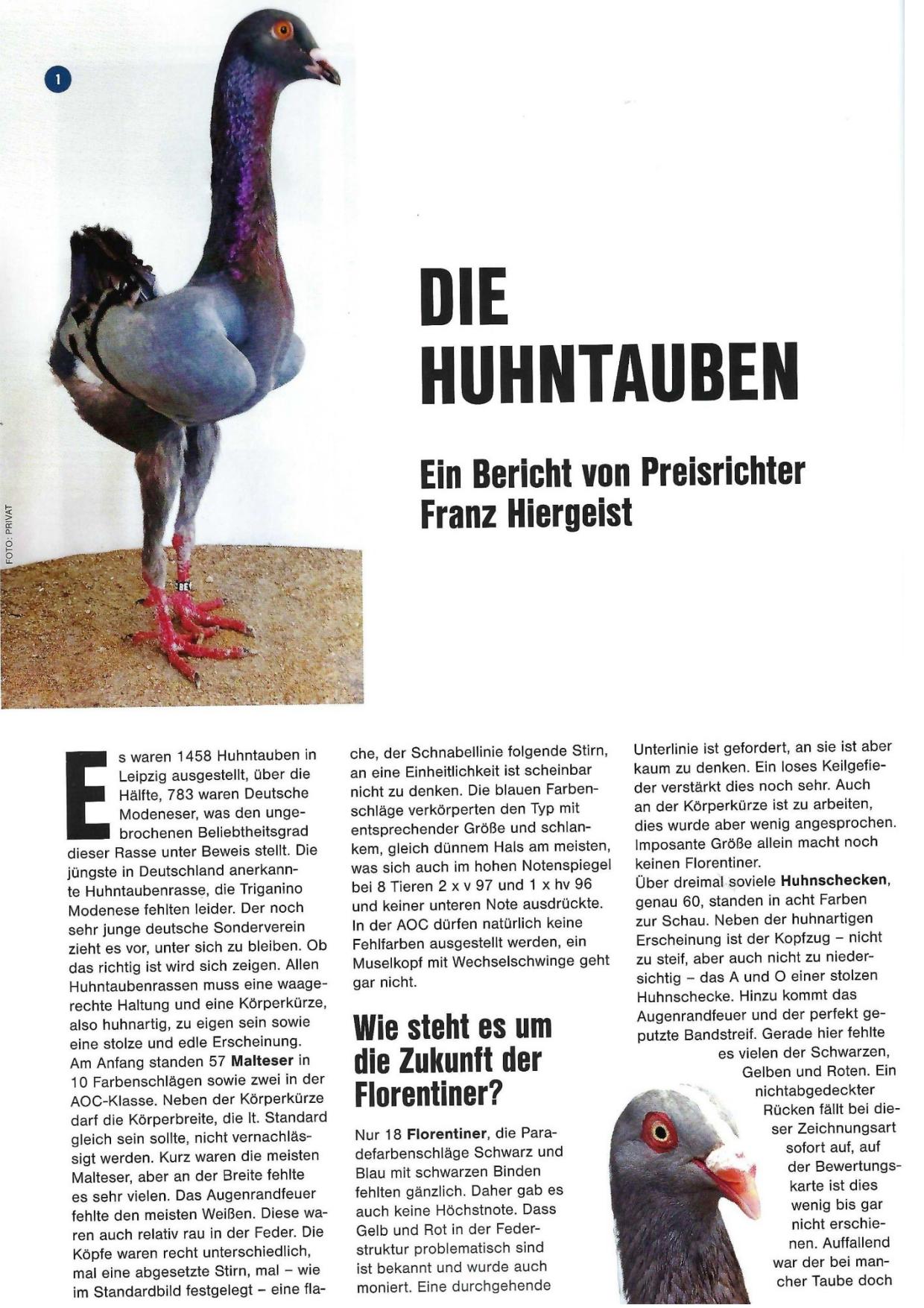 6 PR Nachrichten 2023 02