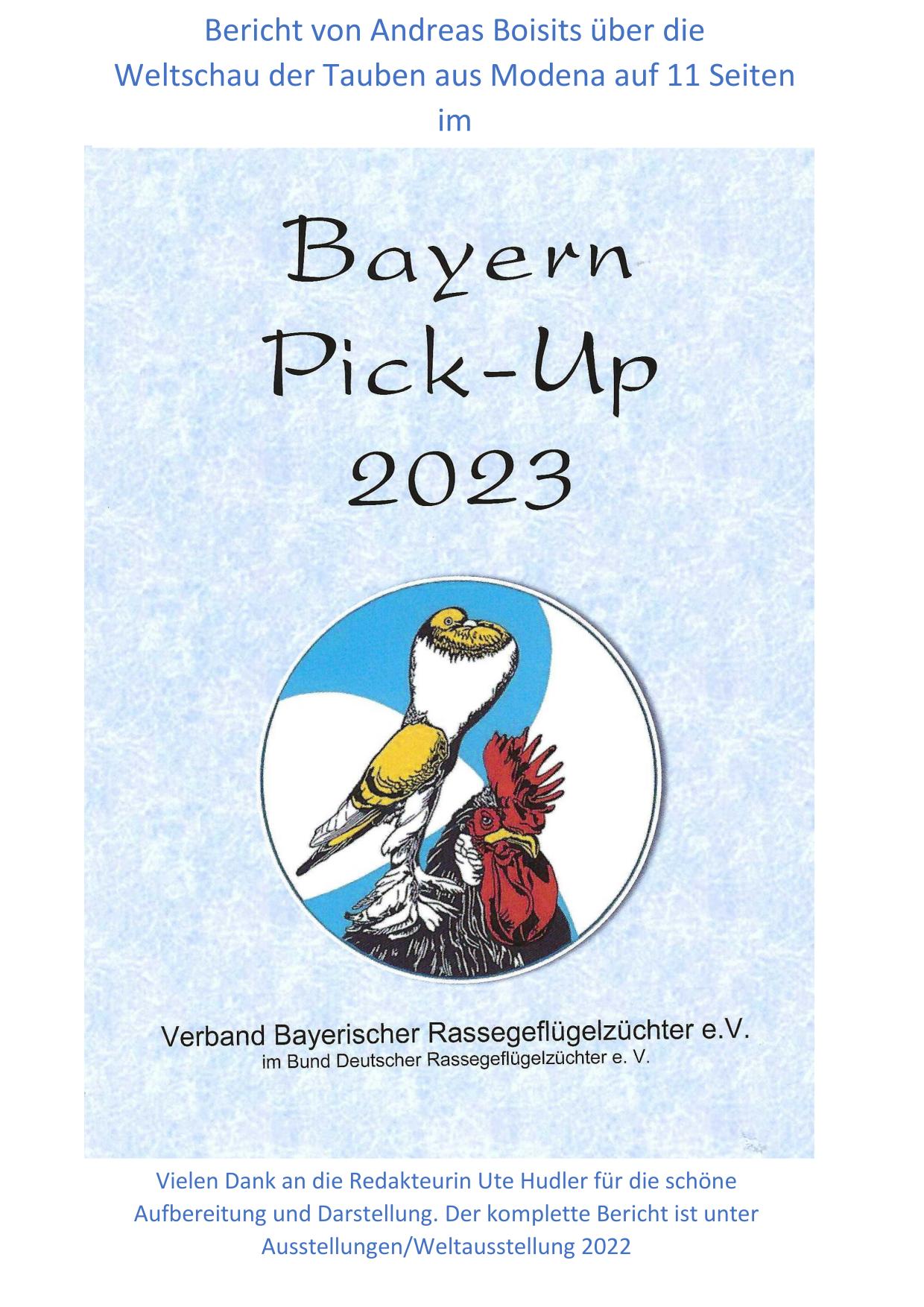 6 Weltschau Pickup 01