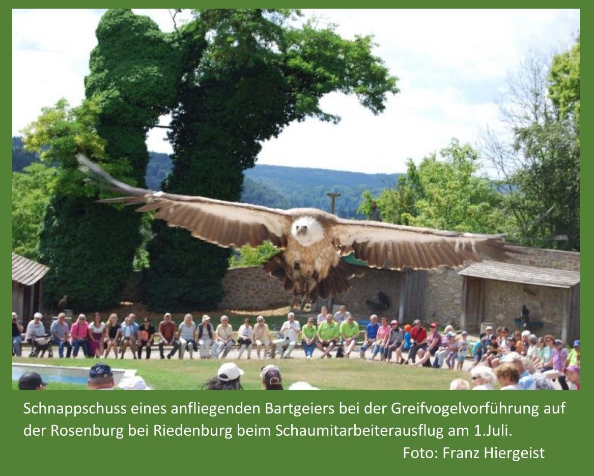 7 2023 Geieranflug