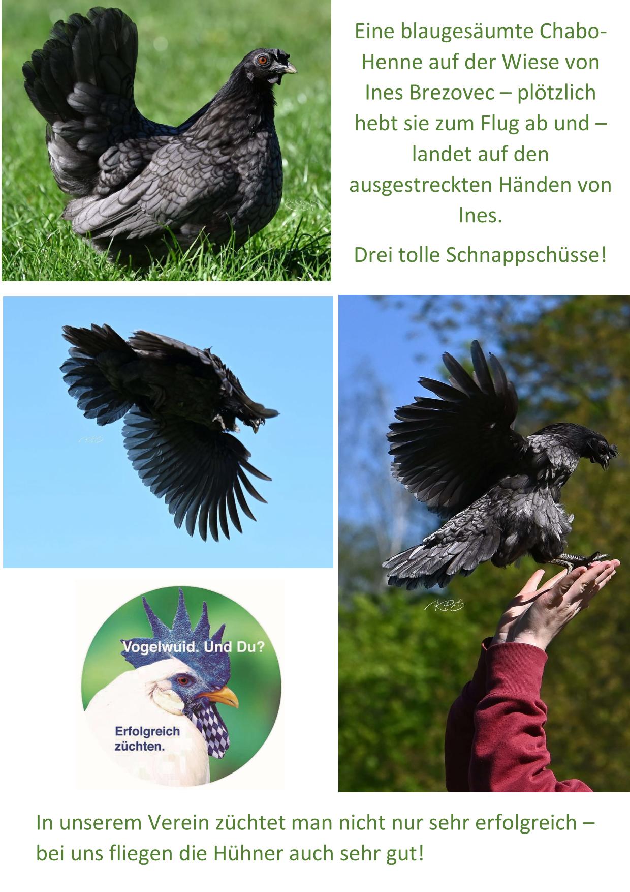 Foto des Monats Juni 01