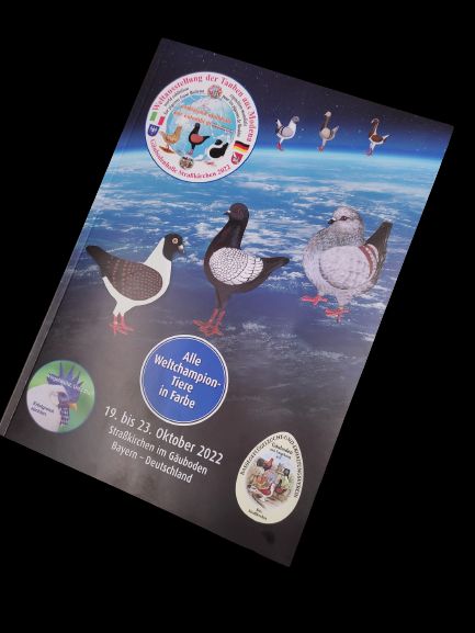 Katalog
