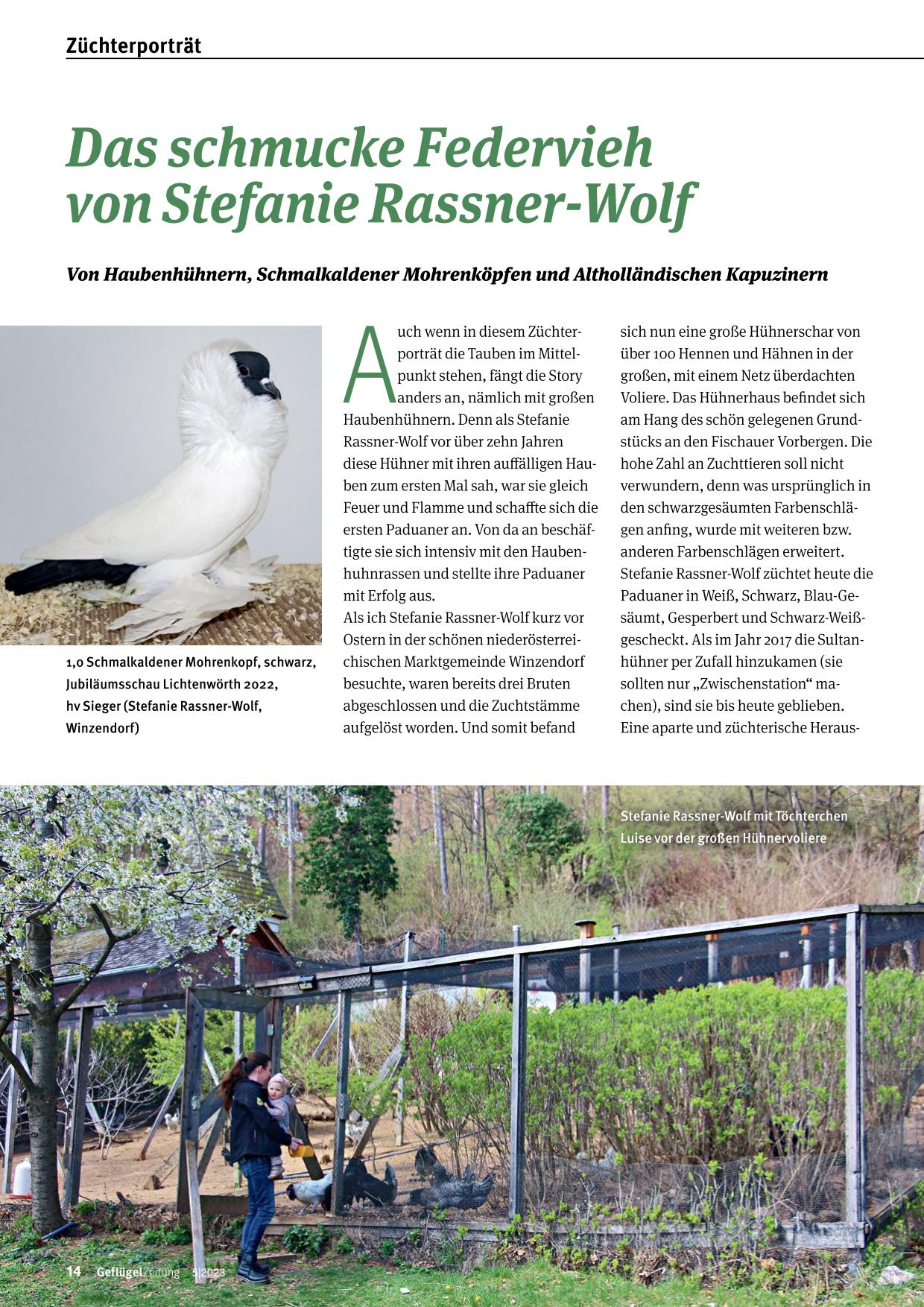 Rassner Wolf 01
