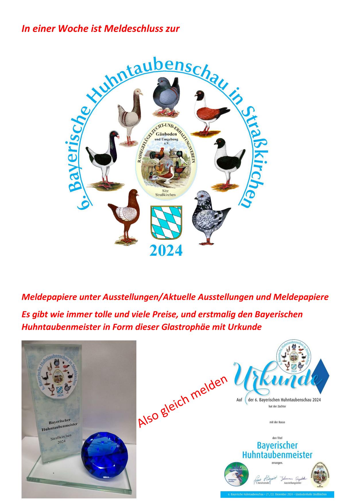 11 Huhntaubenschau 01