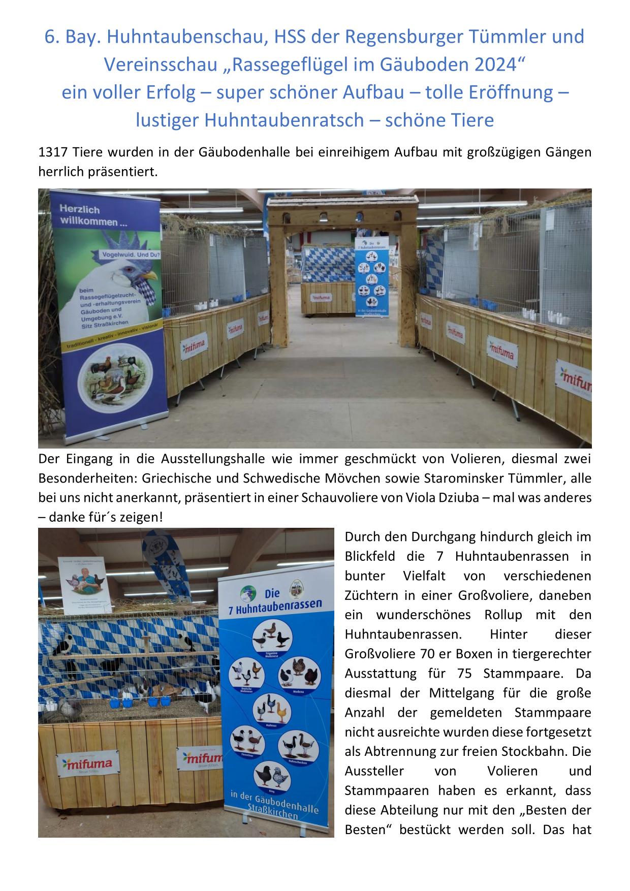 12 Huhntaubenschau 01