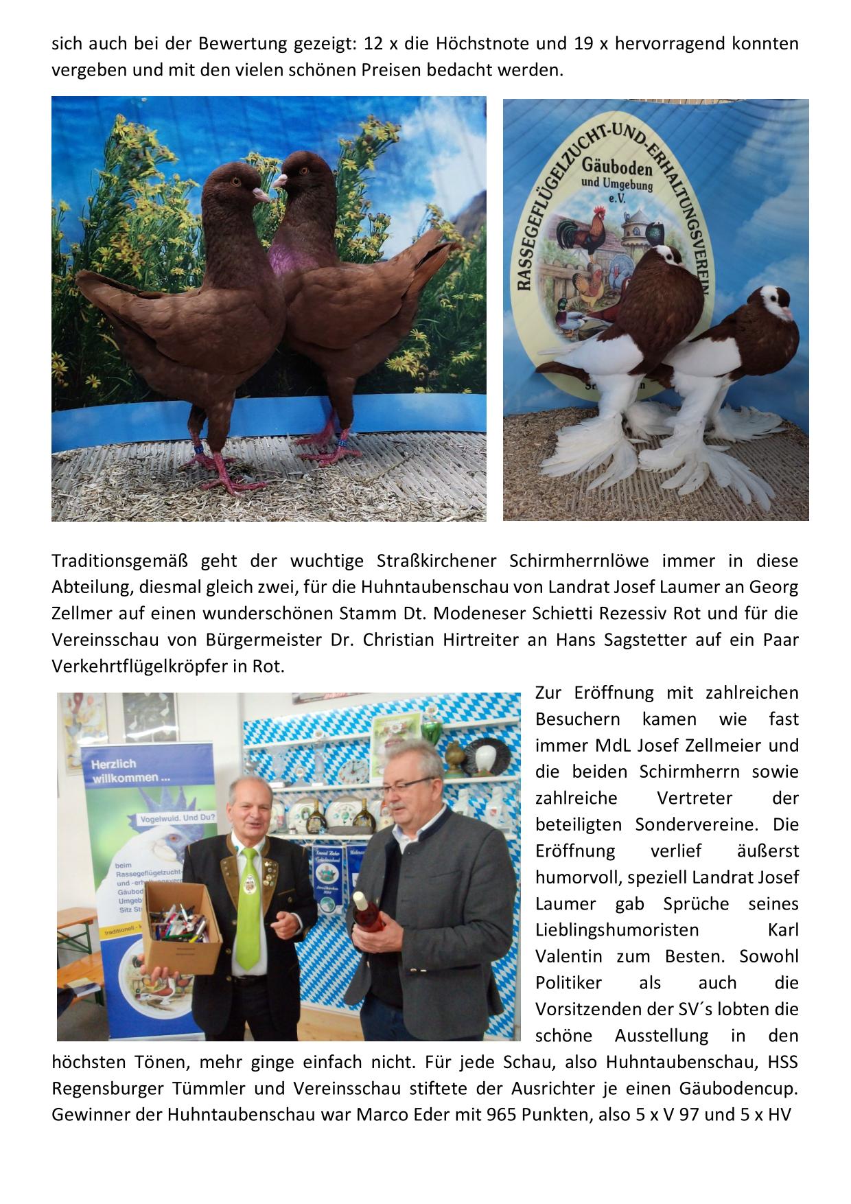 12 Huhntaubenschau 02