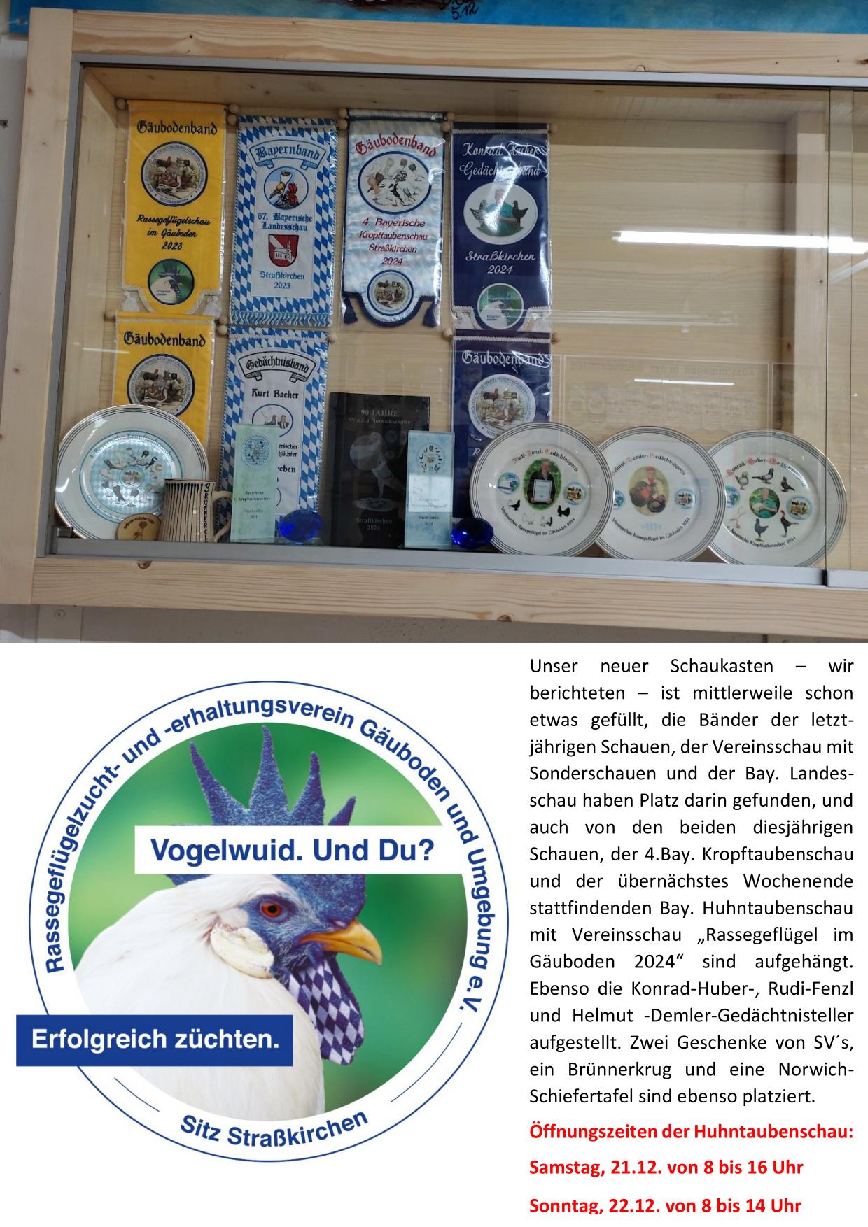 12 Vitrine 01