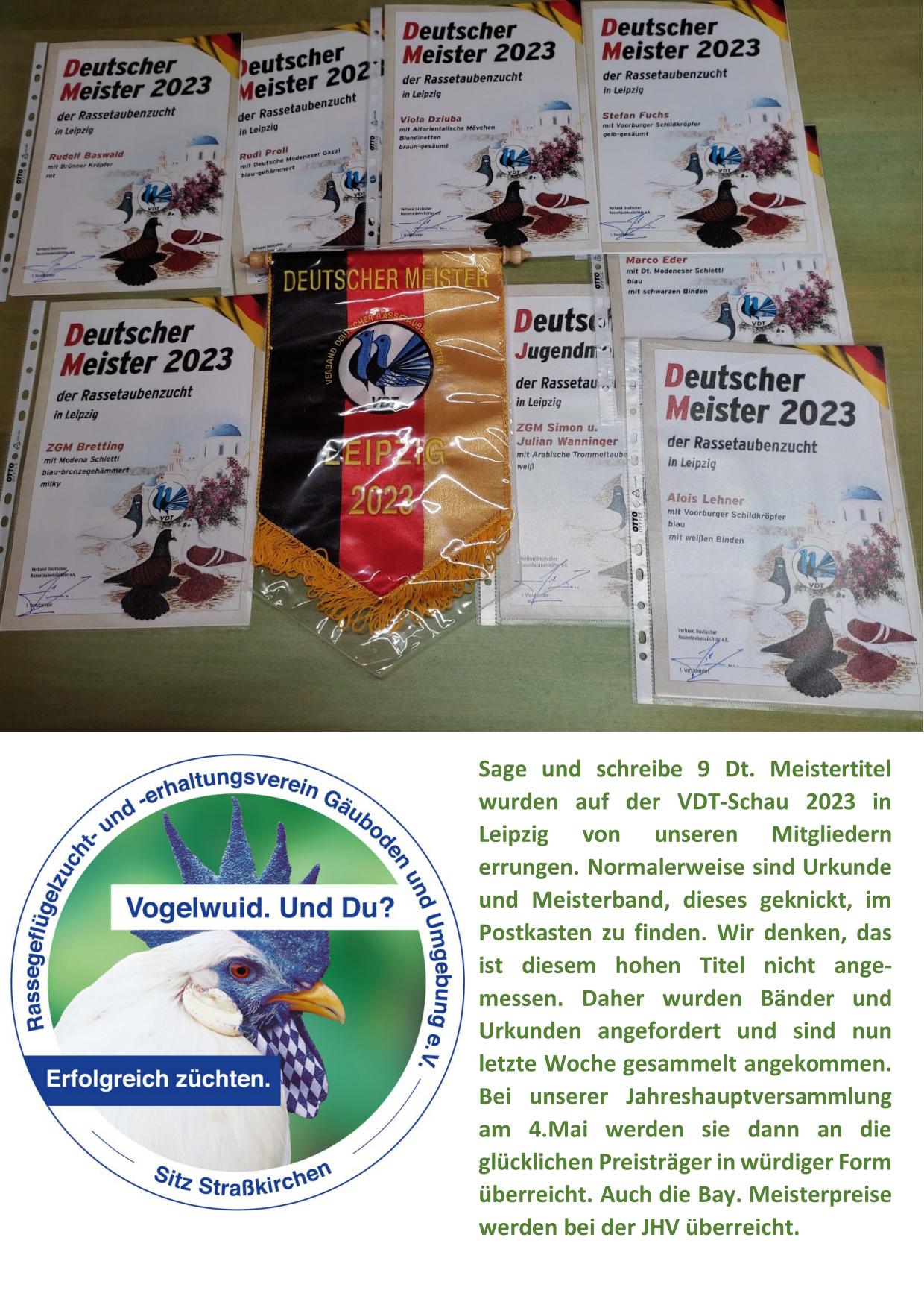 3 Dt Meister 01
