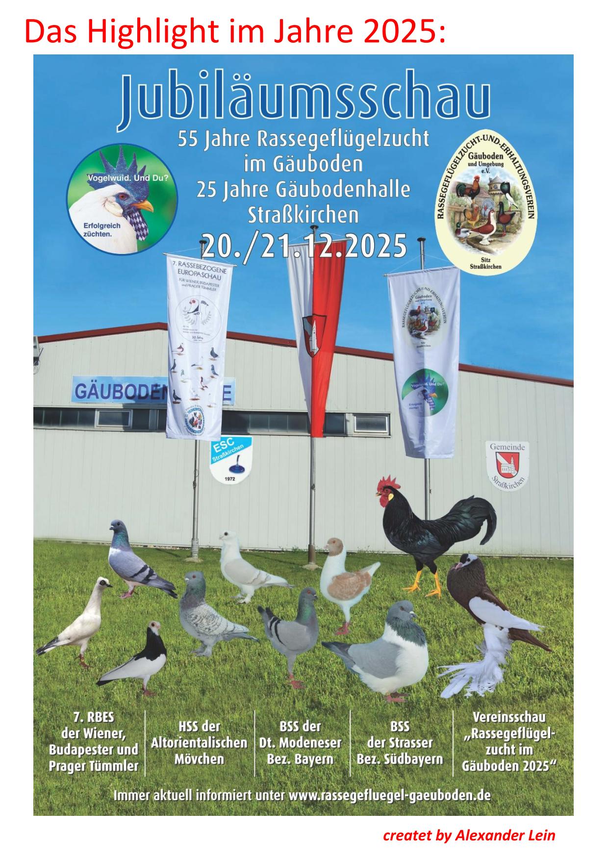 40 Collage Vorschau2025 01