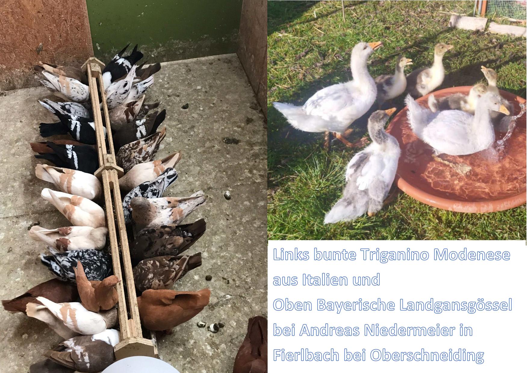 5 was buntes 01