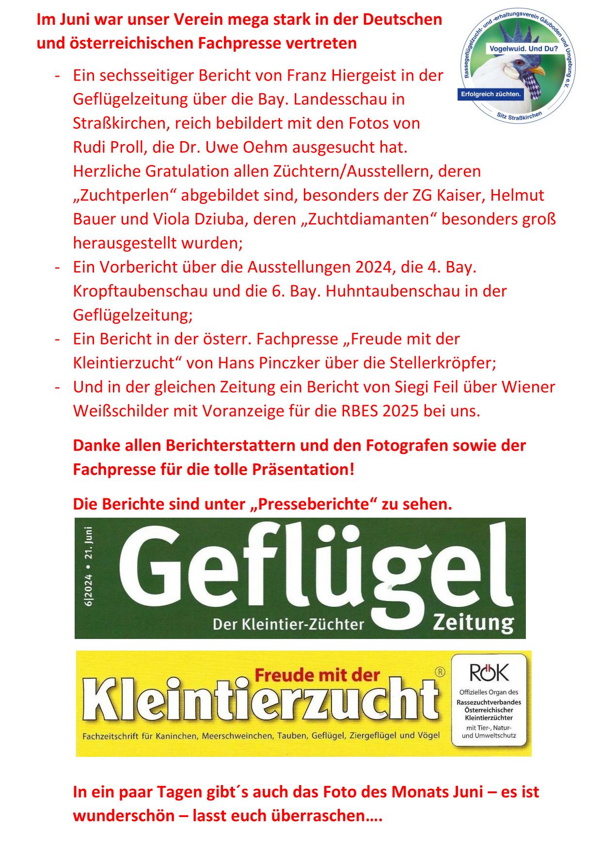 6 Berichte 01