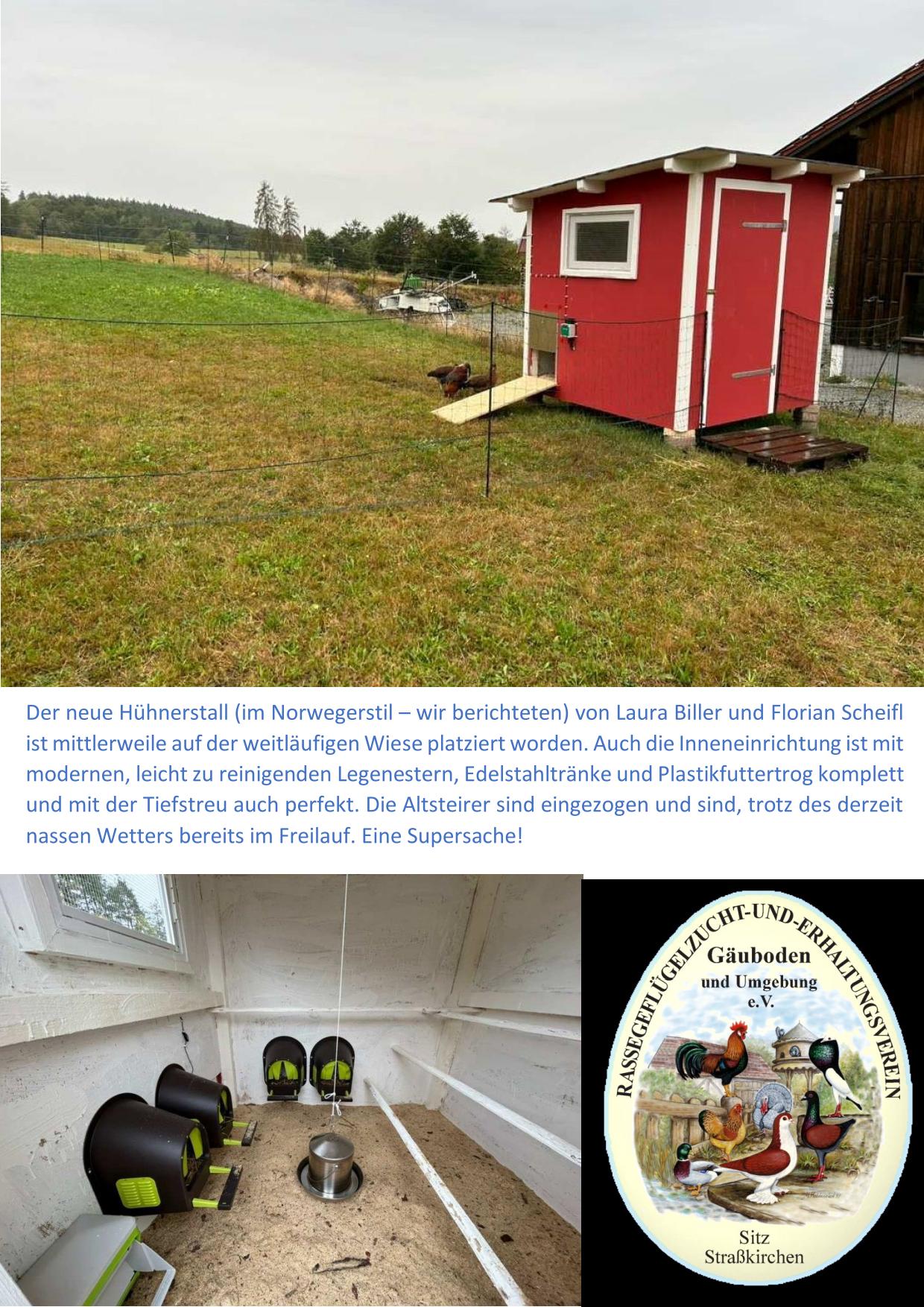 9 Scheifl 01