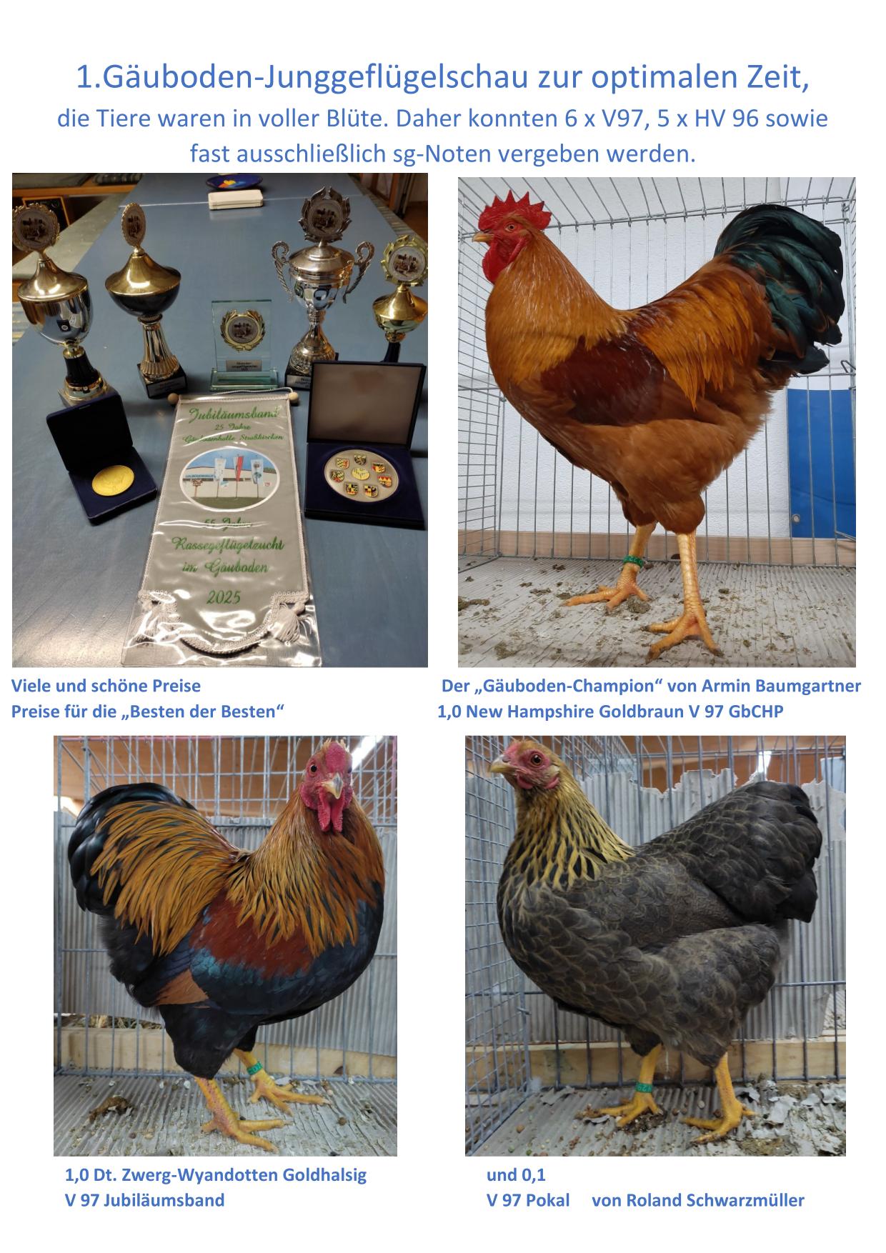 10 Gäubodenjunggeflügelschau 01