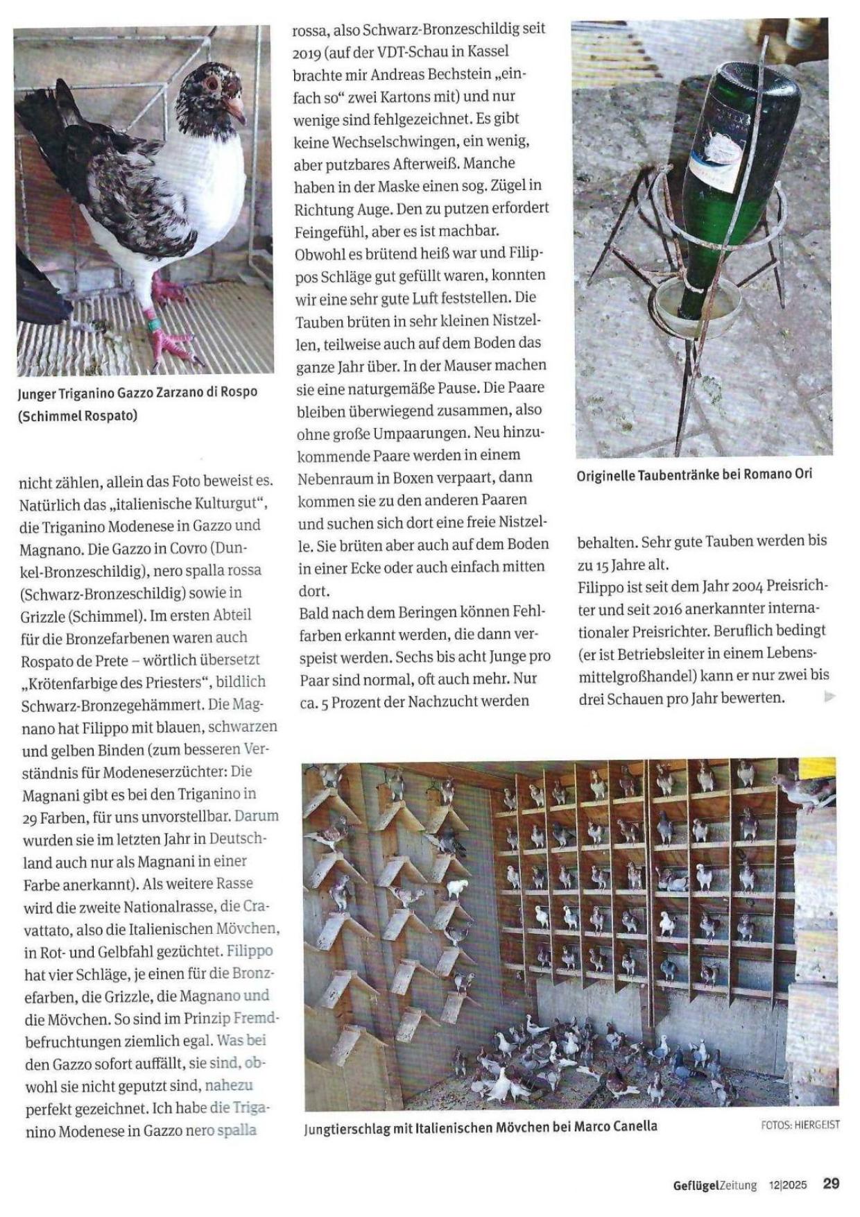 12 Italienreise GZ 04