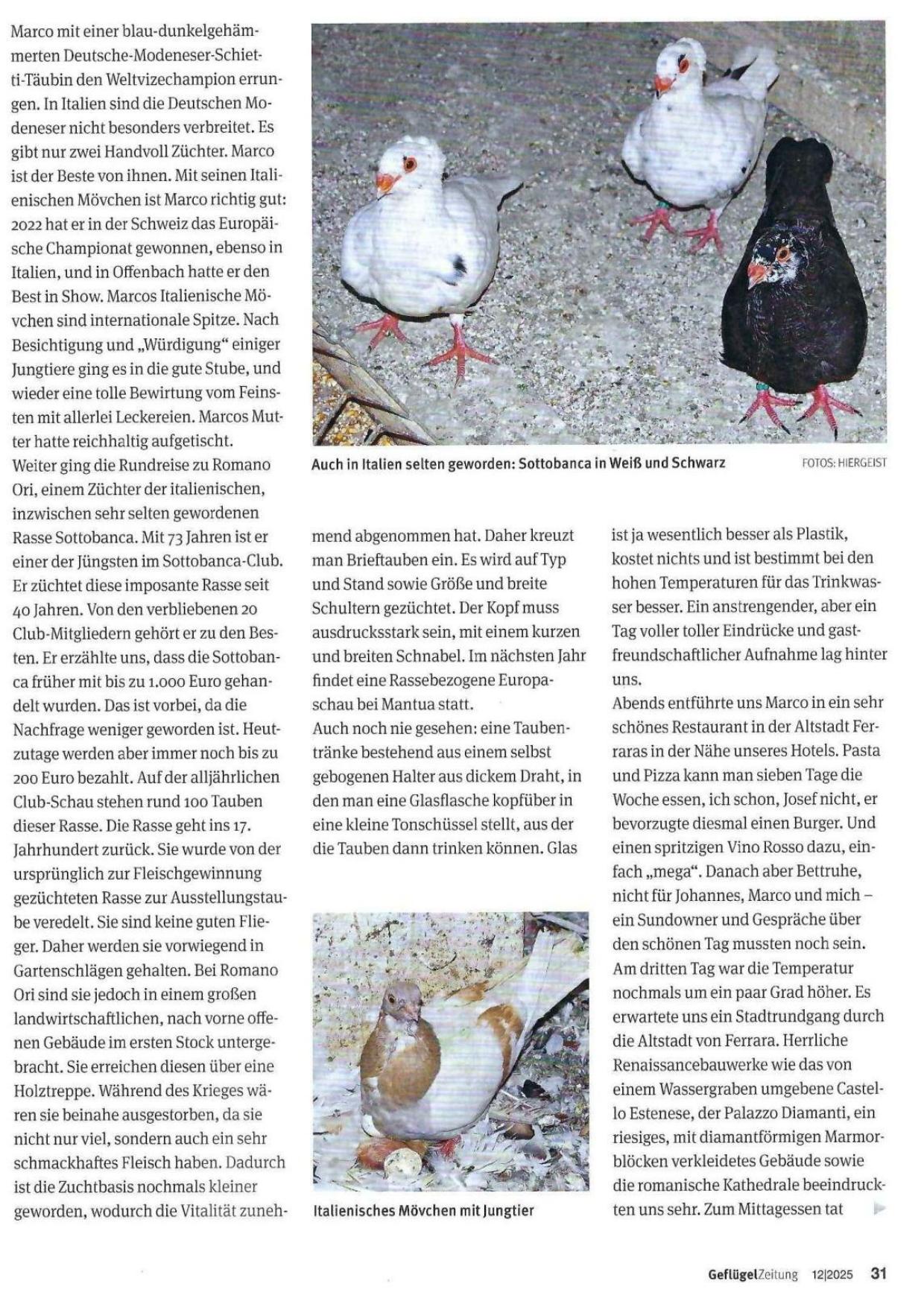 12 Italienreise GZ 06